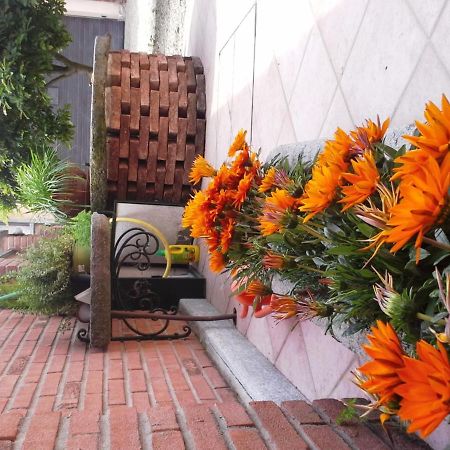 Bed&Breakfast La Siepe Pinerolo Dış mekan fotoğraf