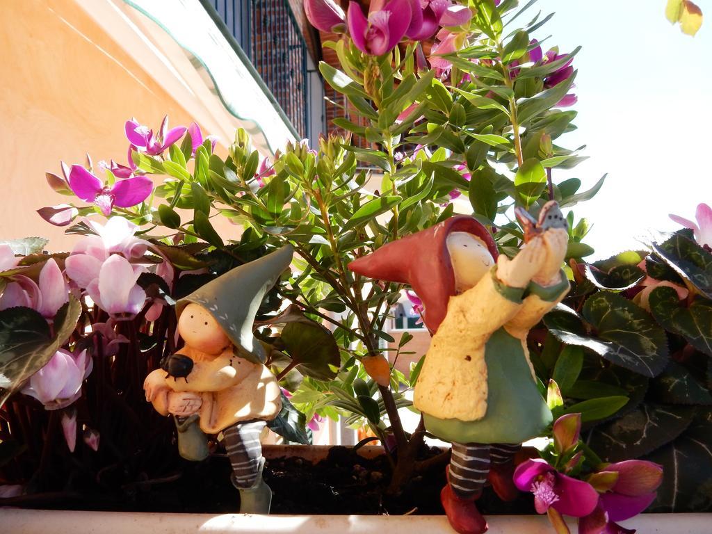 Bed&Breakfast La Siepe Pinerolo Dış mekan fotoğraf