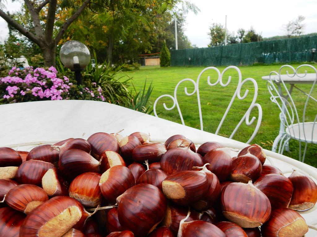 Bed&Breakfast La Siepe Pinerolo Dış mekan fotoğraf