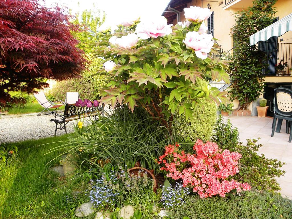 Bed&Breakfast La Siepe Pinerolo Dış mekan fotoğraf